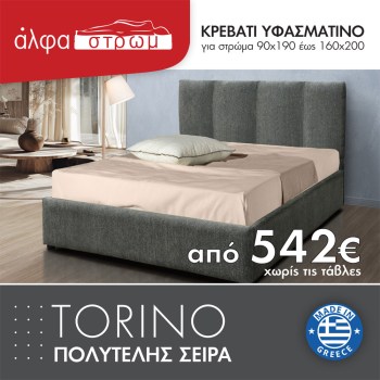 547-TORINO