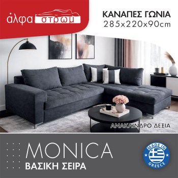625b-MONICA9