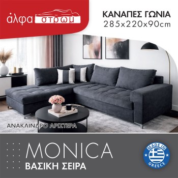 625c-MONICA9