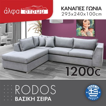 629-RODOS4
