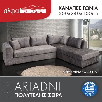 663b-ARIADNI