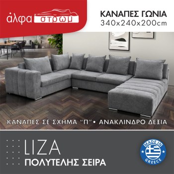 675c-LIZA